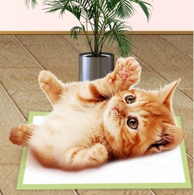 product-395-396 product-395-396